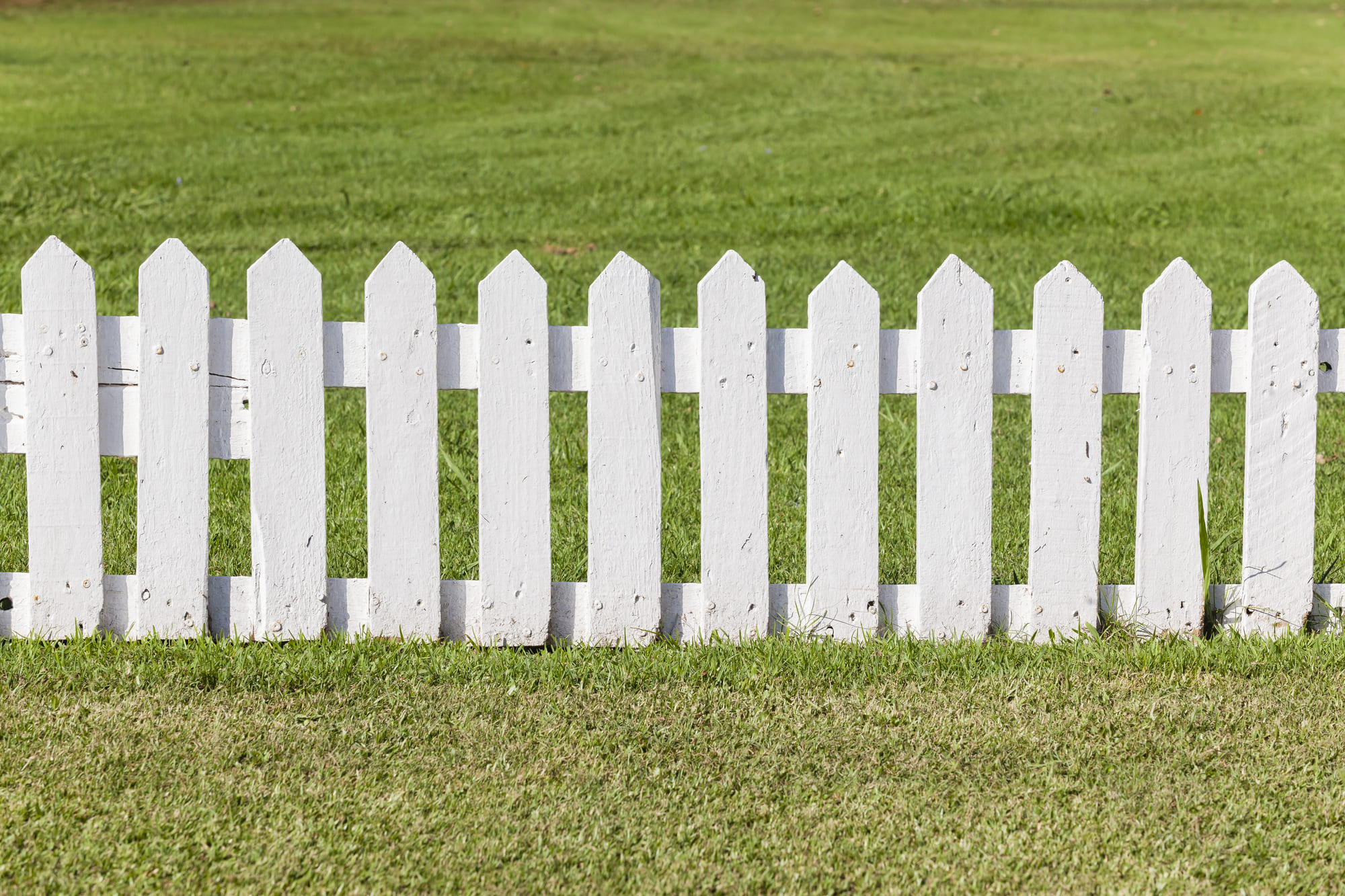short, white picket fence